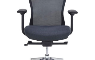 Fauteuil Confort - 480 €